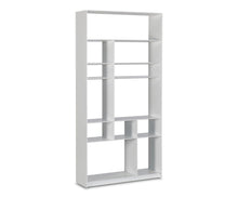 Load image into Gallery viewer, Haldi Bookcase II

