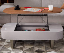 Load image into Gallery viewer, Baptisia Lift Top Storage Coffee Table
